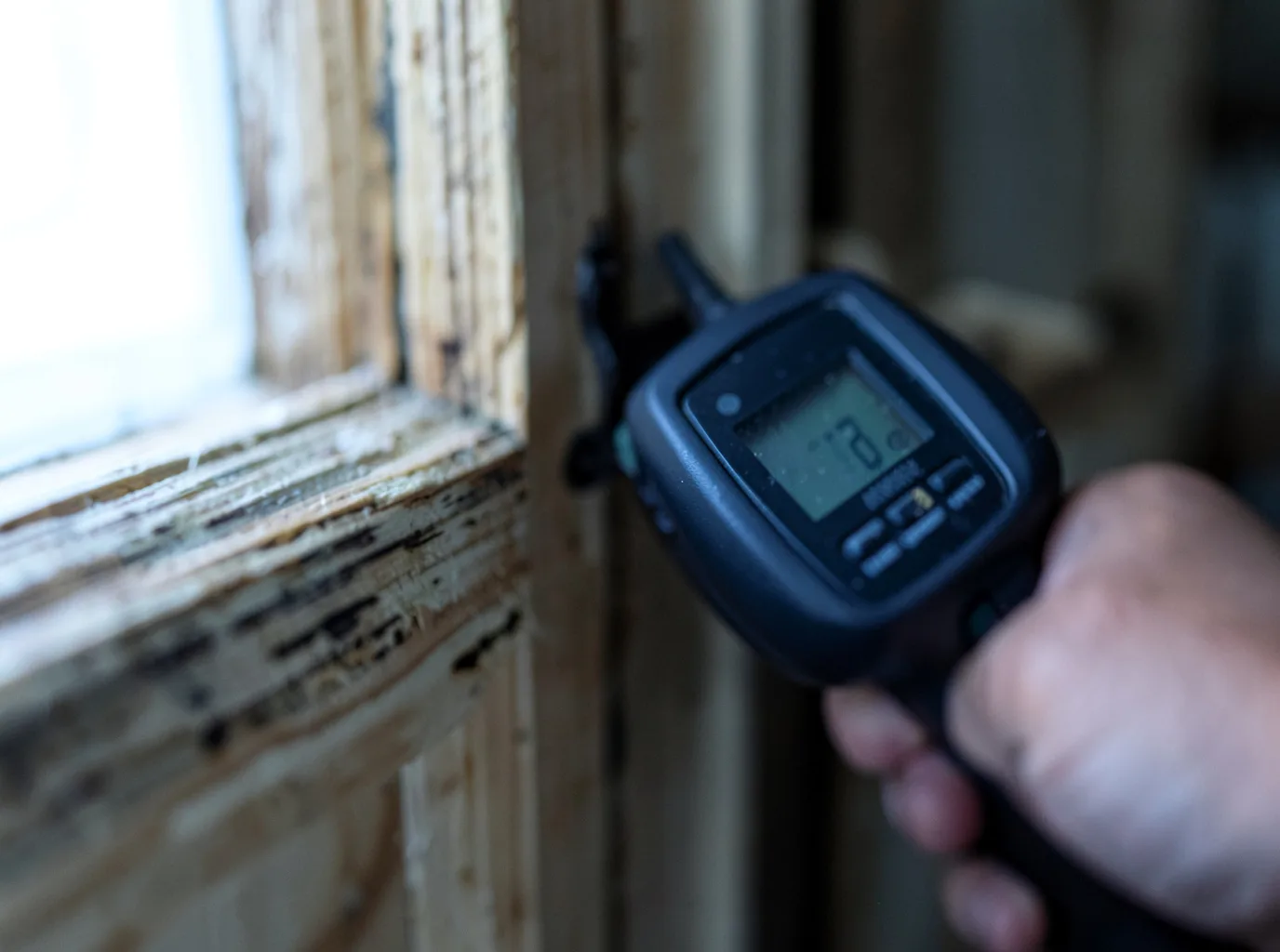 Moisture Inspection And Documentation in Plaucheville, LA